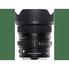 Canon pancake ef-s 24mm f/2.8 stm