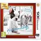 Nintendo gs + cats: bulldog francese ita 3ds