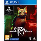 Take 2 take-two interactive stray standard ita playstation 4