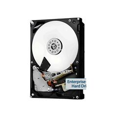 Hgst Ssd Wd Ultrastar Dc Hc310 Hus726t4tal5204