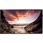 Samsung monitor lfd ph49f-p phf-p series 49'' display lcd retroilluminato a led lh49phfpmgc/en