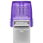 Kingston chiavetta usb datatraveler microduo 3c chiavetta usb 256 gb dtduo3cg3/256gb