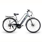 Emg bicicletta e-bike queen 28p 28'' 13ah 80 km batteria integrata grigia