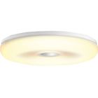 Philips lampadina led hue white ambiance struana lampada a soffitto led 22 w 929003056901