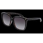 Gucci sensual romantic gg0022s-003