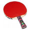 Ping Pong